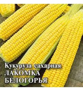 Семена . Кукуруза сахарная Лакомка Белогорья (7042/ПК) (партия 20 гр)